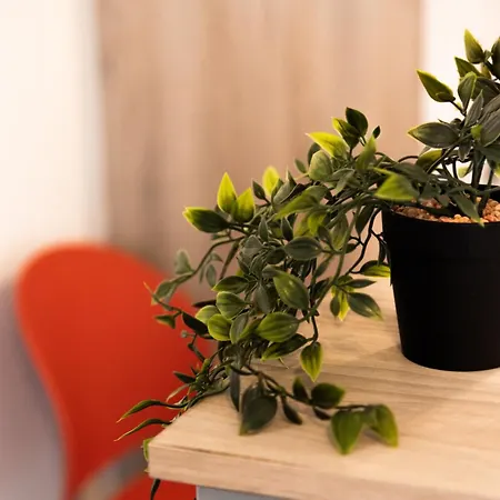 Burnelia Vacation Maisonette * Lefkímmi