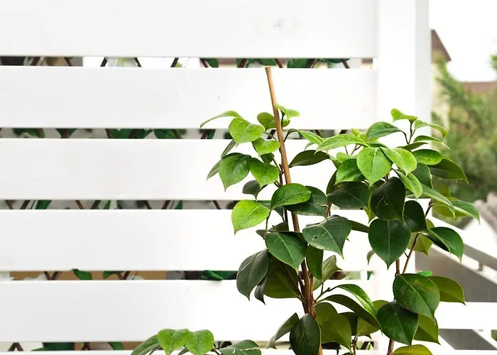 Burnelia Vacation Maisonette