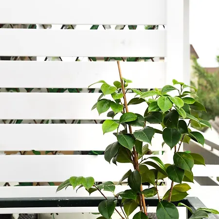 Burnelia Vacation Maisonette